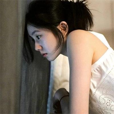 公猫 海报